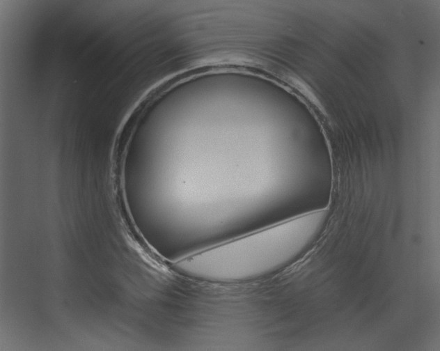 X0000074231116200608250809