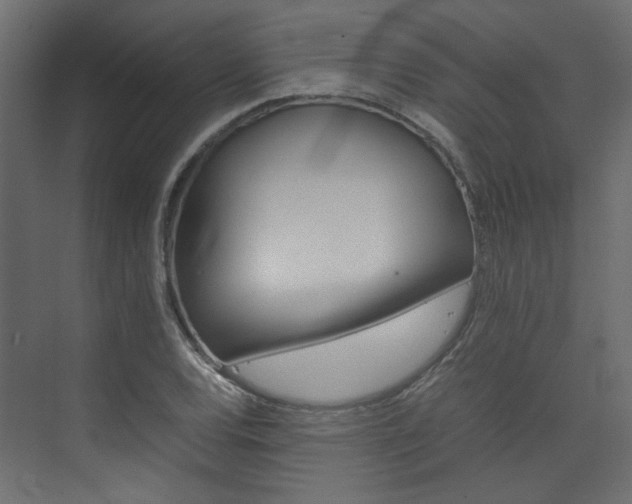 X0000074231120200608250809