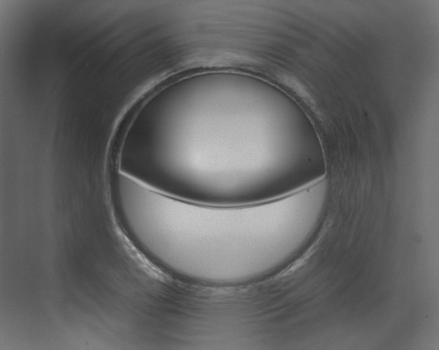 X0000074231122200608250809