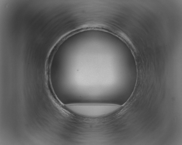 X0000074231124200608250809