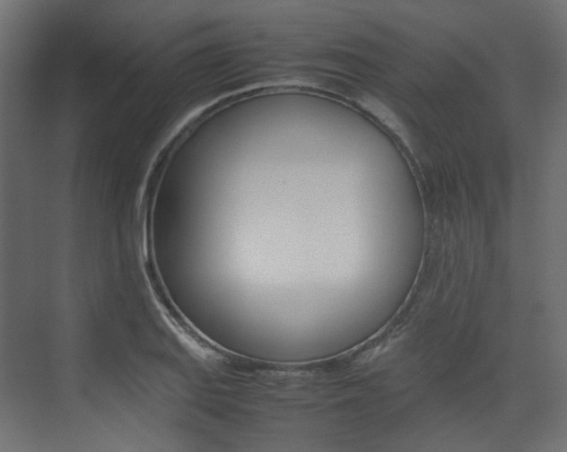X0000074231127200608250809