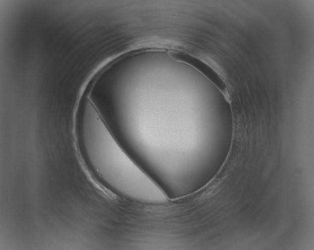 X0000074231128200608250809