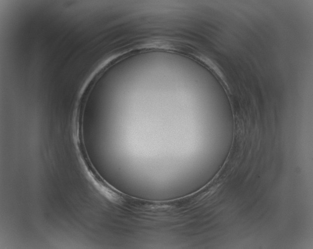 X0000074231131200608250809