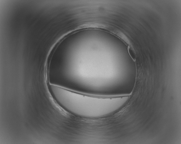 X0000074231132200608250809