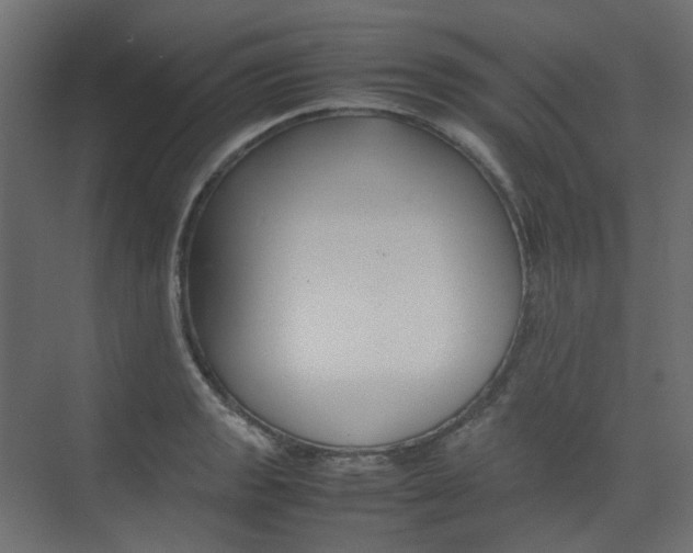 X0000074231133200608250809