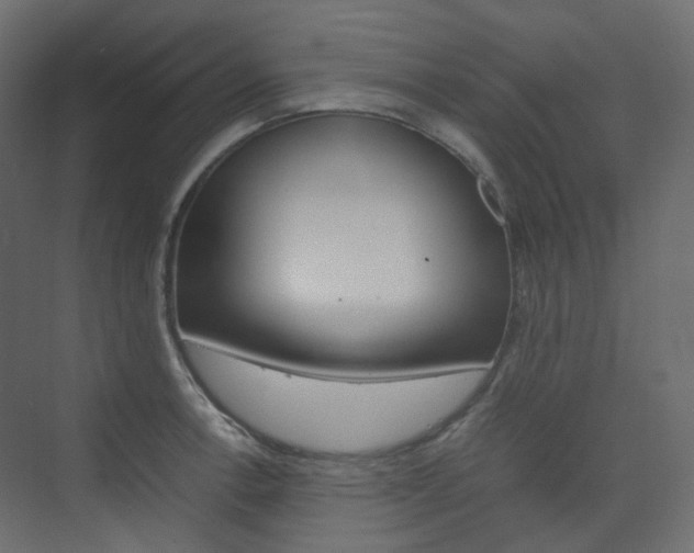 X0000074231138200608250809