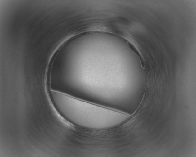 X0000074231139200608250809