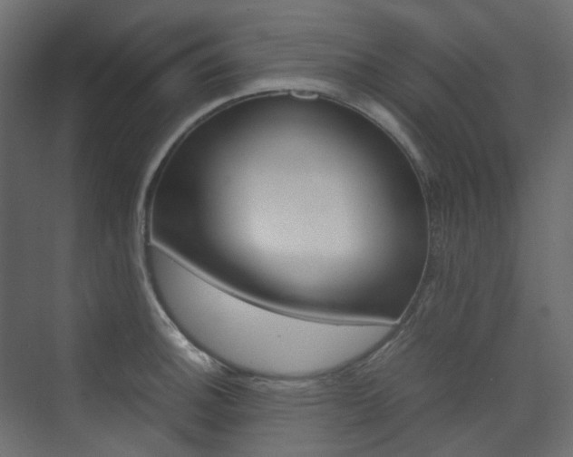 X0000074231140200608250809