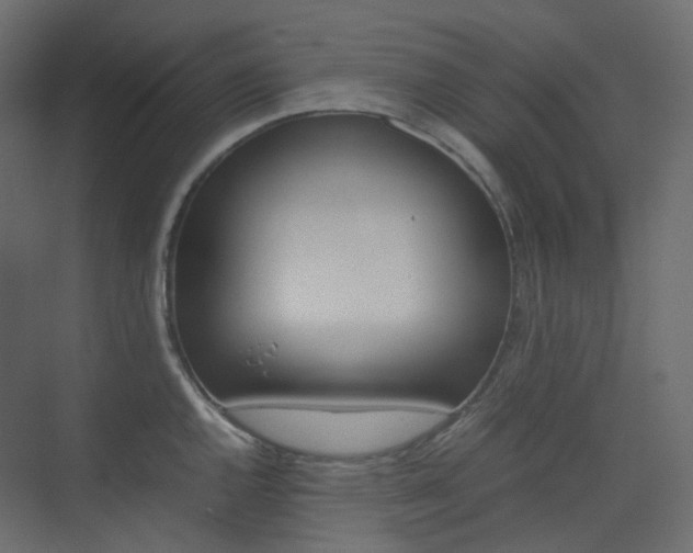 X0000074231144200608250810