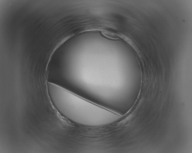 X0000074231145200608250810