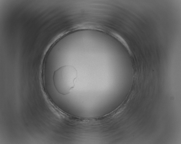 X0000074231146200608250810