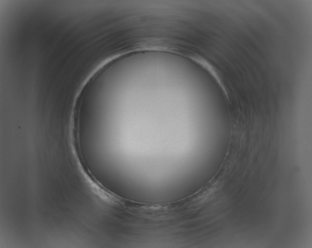 X0000074231147200608250810