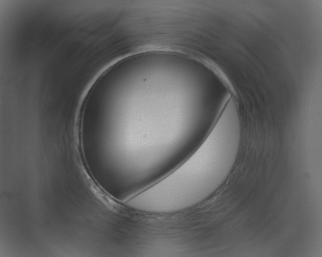 X0000074231148200608250810
