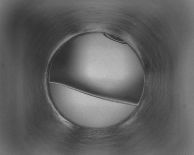 X0000074231149200608250810