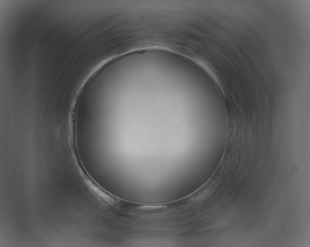 X0000074231151200608250810