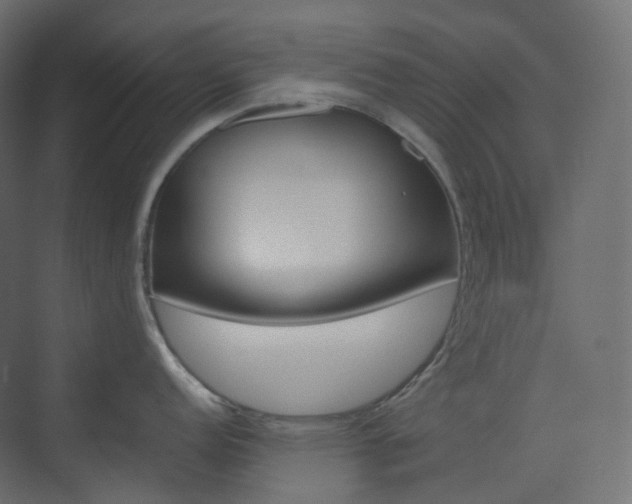 X0000074231152200608250810
