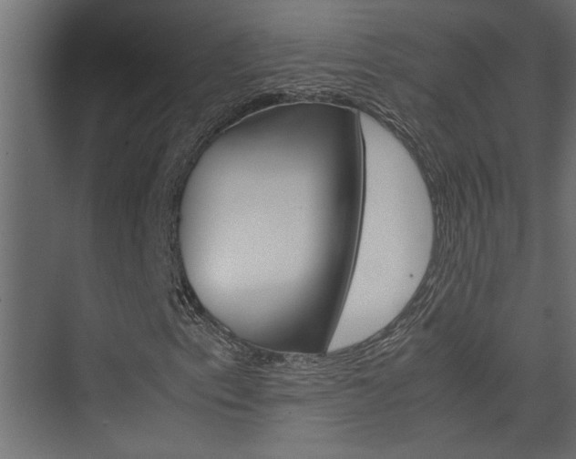 X0000074231153200608250809