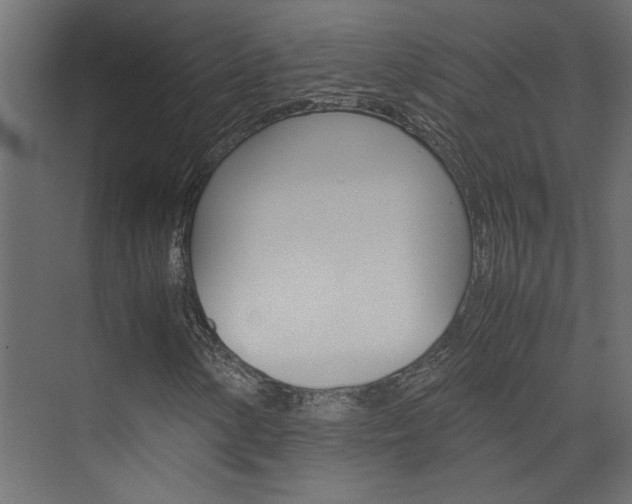 X0000074231154200608250809