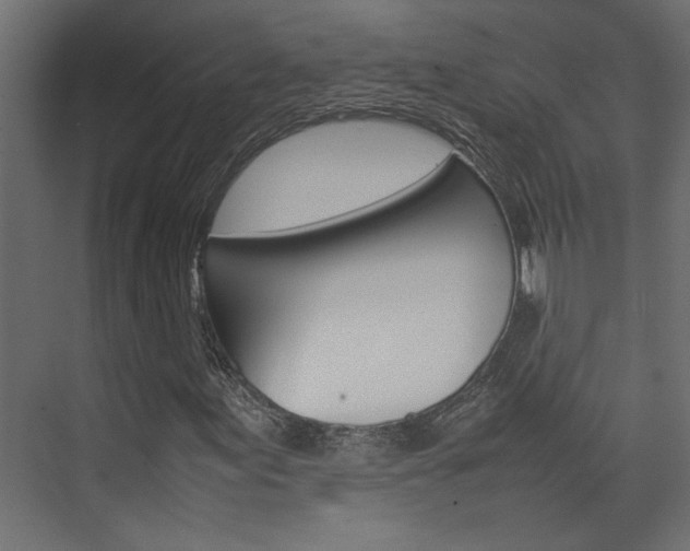 X0000074231155200608250809