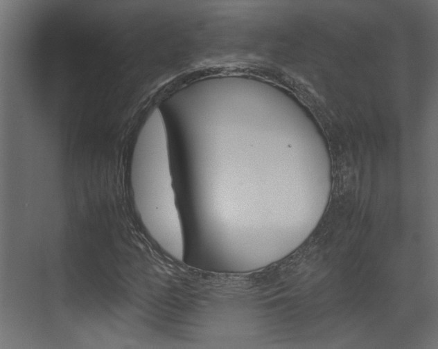 X0000074231158200608250809