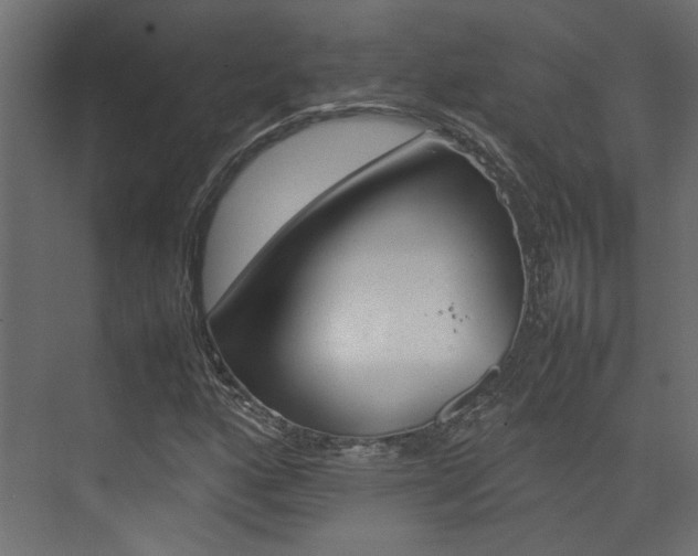 X0000074231160200608250809