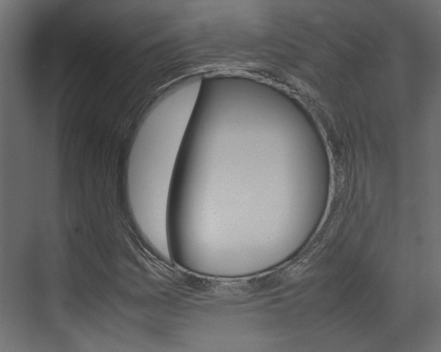 X0000074231161200608250809