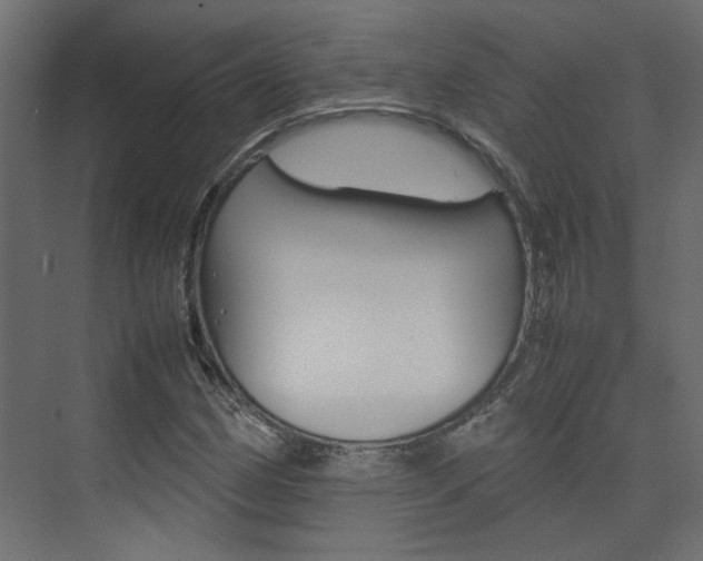 X0000074231162200608250809