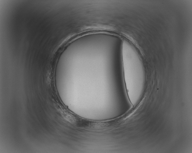 X0000074231163200608250809