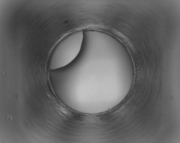 X0000074231170200608250809