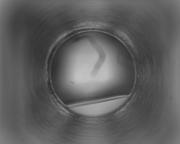 X0000074231172200608250809