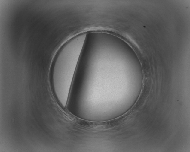 X0000074231173200608250809