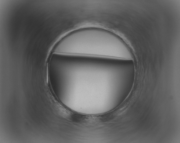 X0000074231175200608250808