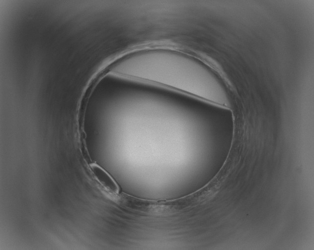 X0000074231176200608250808