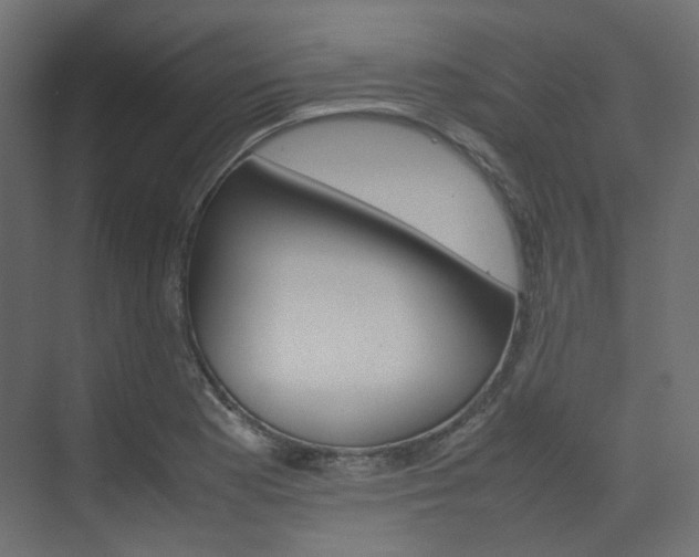 X0000074231177200608250808