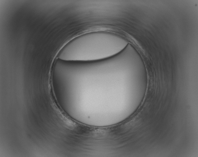 X0000074231178200608250808