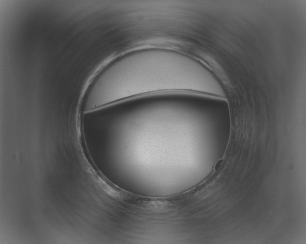X0000074231180200608250808