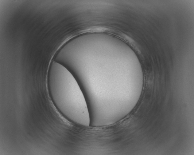X0000074231186200608250808