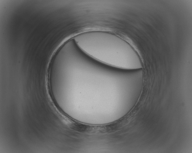 X0000074231187200608250808