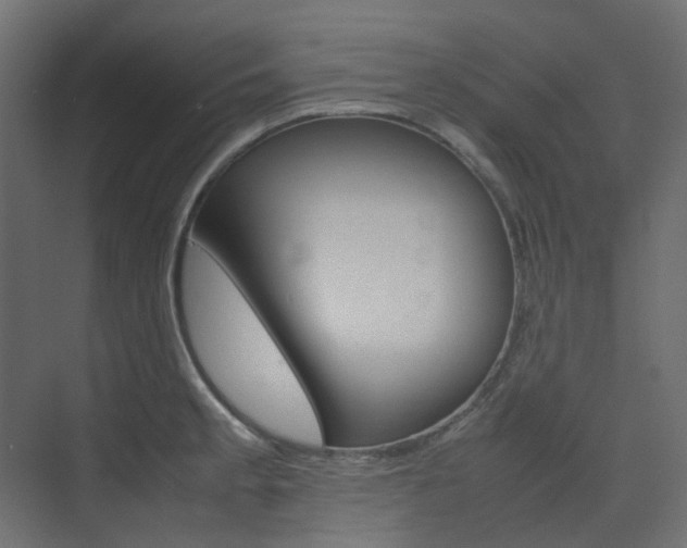 X0000074231189200608250808
