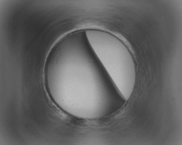 X0000074231191200608250808