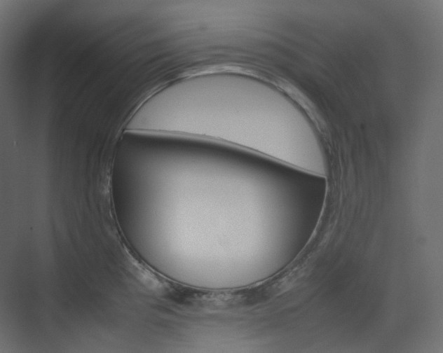 X0000074231193200608250808