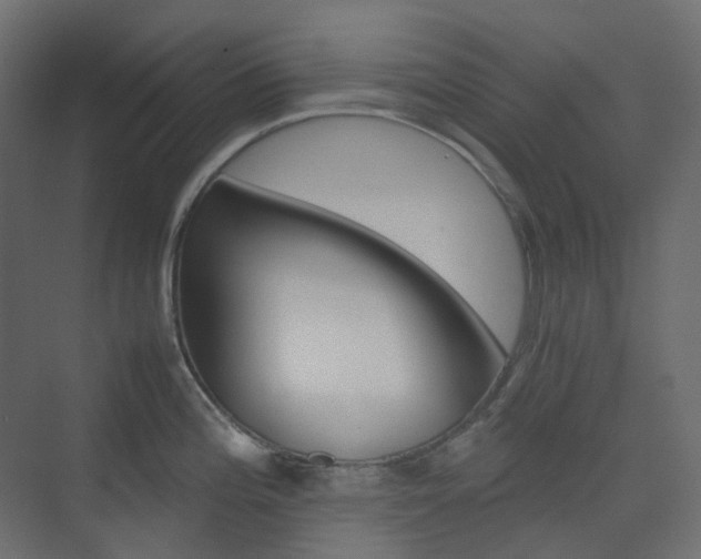 X0000074231196200608250808