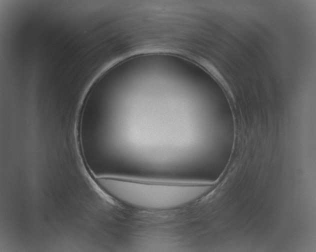 X0000074231197200608250808