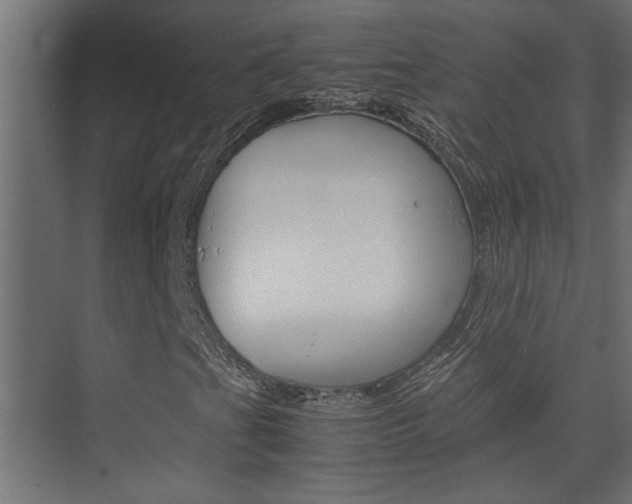 X0000074231201200608250807