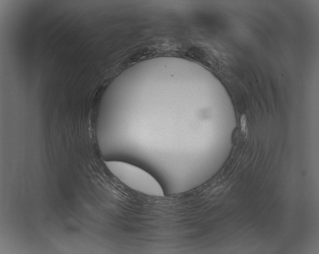 X0000074231203200608250807