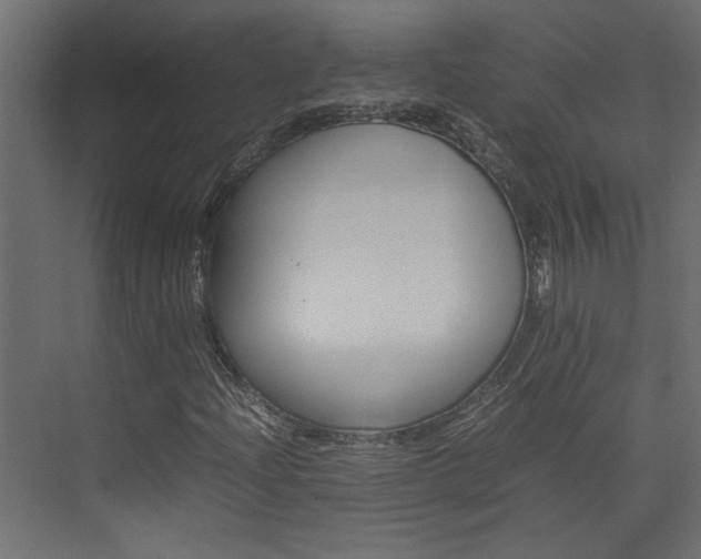 X0000074231204200608250807