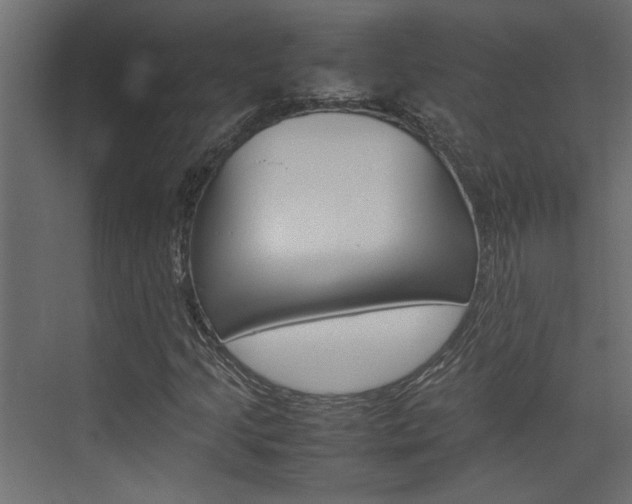 X0000074231205200608250807