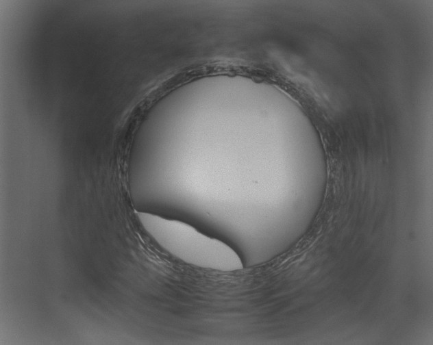 X0000074231207200608250807