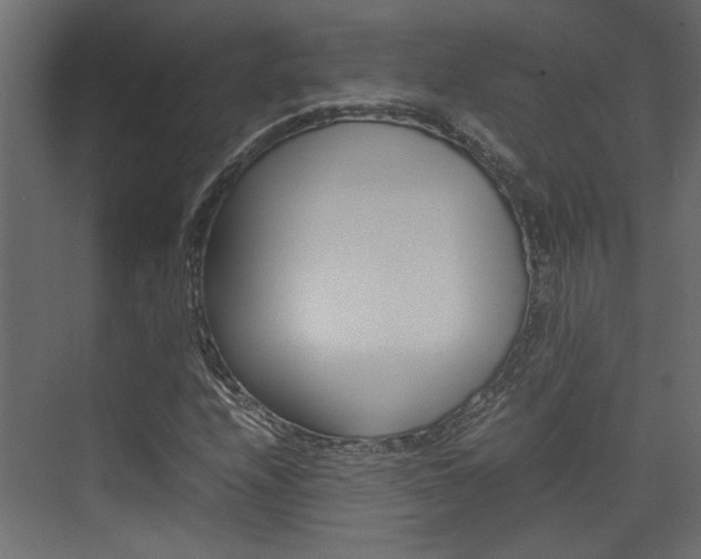 X0000074231208200608250807