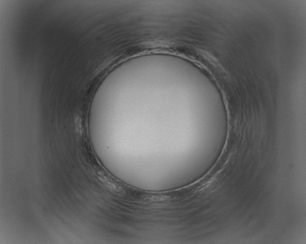 X0000074231209200608250807